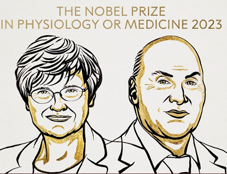 Nagroda Nobla za modyfikację cząsteczki mRNA